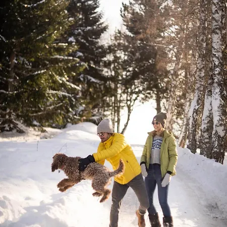 בית נופש Alpine Retreat Cupino Sokace