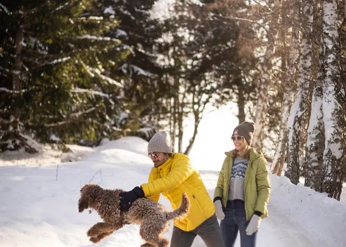 펜션 Alpine Retreat Cupino Sokace